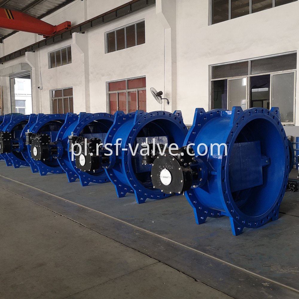 Double Eccentric Flange Butterfly Valve 1